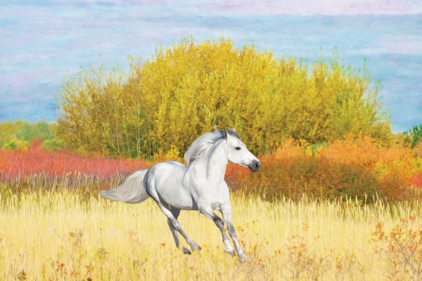 Laura D Young: White Horse In An Autumn Field by Laura D Young