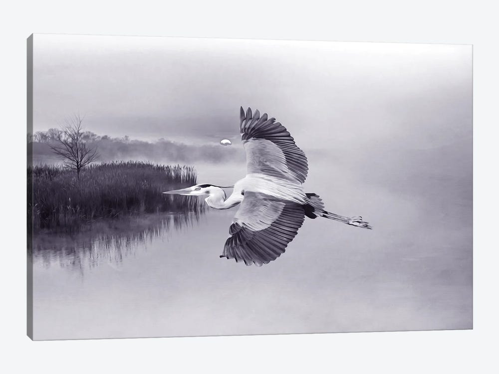 Great Blue Heron In Flight by Laura D Young 1-piece Art Print