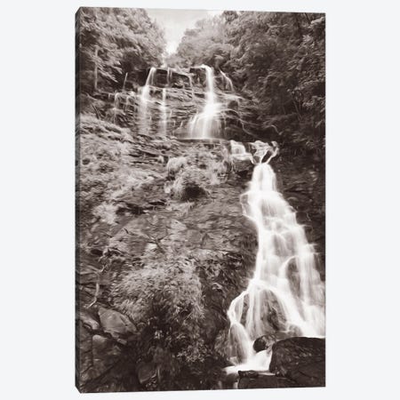 Amicalola Falls In Georgia Canvas Print #LDY158} by Laura D Young Canvas Art Print