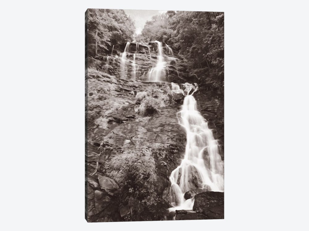 Amicalola Falls In Georgia by Laura D Young 1-piece Canvas Artwork
