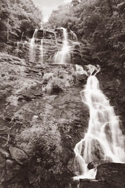 Laura D Young: Amicalola Falls In Georgia by Laura D Young