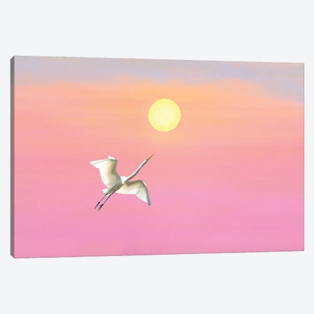 Great White Egret And Setting Sun Canvas Print #LDY160} by Laura D Young Canvas Art