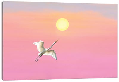 Great White Egret And Setting Sun Canvas Art Print - Egret Art