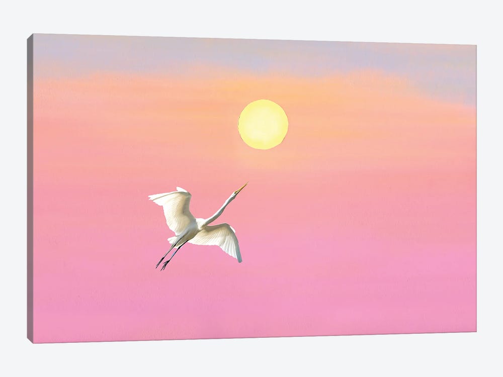 Great White Egret And Setting Sun by Laura D Young 1-piece Canvas Art Print