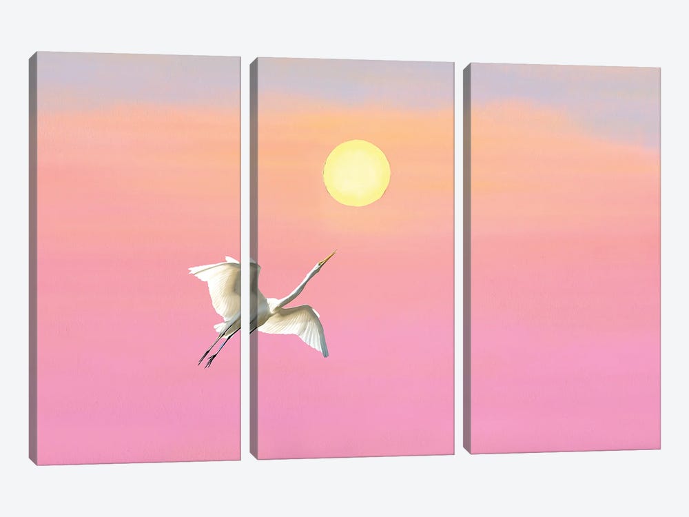 Great White Egret And Setting Sun by Laura D Young 3-piece Art Print