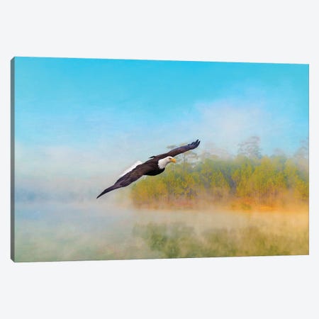 Bald Eagle In The Mist Canvas Print #LDY163} by Laura D Young Canvas Art
