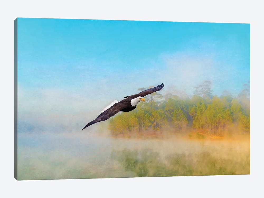 Bald Eagle In The Mist by Laura D Young 1-piece Canvas Wall Art