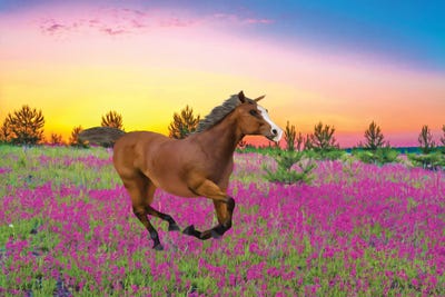 Chestnut Horse In Field Of Wildflowers by Laura D Young art print