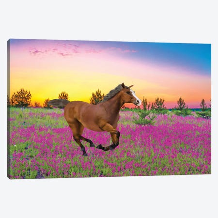 Chestnut Horse In Field Of Wildflowers Canvas Print #LDY168} by Laura D Young Canvas Art