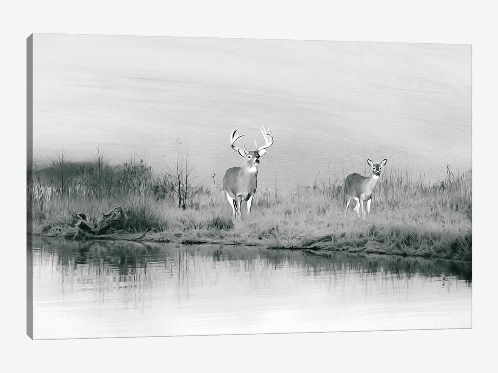 Deer At Winter Pond Black & White by Laura D Young 1-piece Canvas Artwork