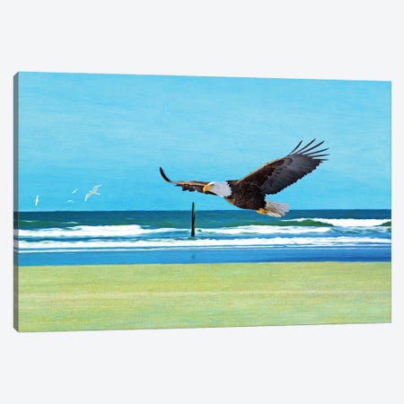 Bald Eagle At Cumberland Island Canvas Print #LDY171} by Laura D Young Art Print