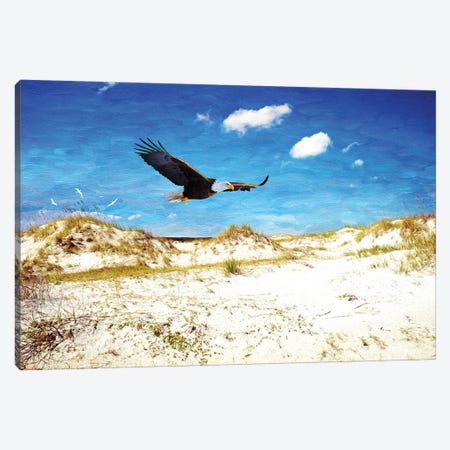 Eagle Soaring At Cumberland Island Dunes Canvas Print #LDY172} by Laura D Young Art Print