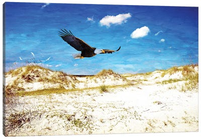 Eagle Soaring At Cumberland Island Dunes Canvas Art Print - Laura D Young