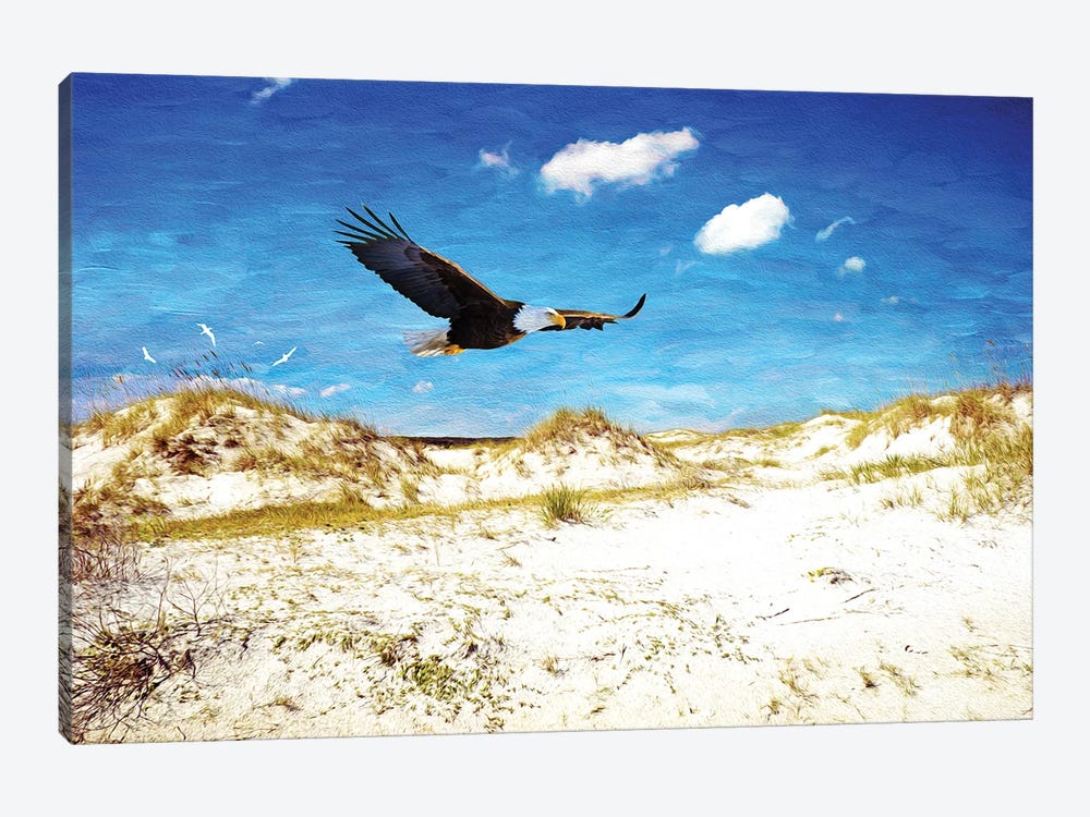 Eagle Soaring At Cumberland Island Dunes by Laura D Young 1-piece Canvas Wall Art