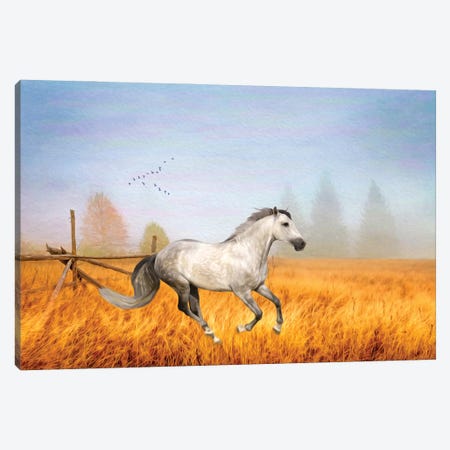 Gray Horse On A Gray Day Canvas Print #LDY174} by Laura D Young Canvas Artwork
