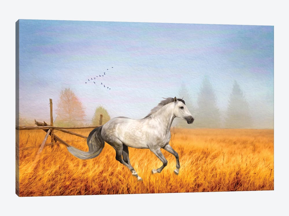 Gray Horse On A Gray Day by Laura D Young 1-piece Canvas Wall Art