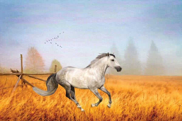 Laura D Young: Gray Horse On A Gray Day by Laura D Young