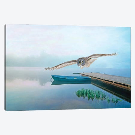 Great Gray Owl In Flight Over Pond Canvas Print #LDY175} by Laura D Young Canvas Wall Art