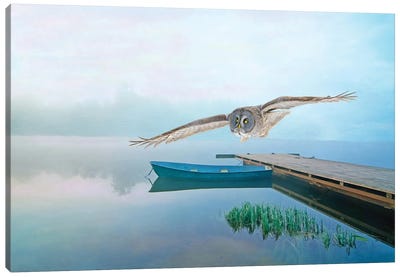 Great Gray Owl In Flight Over Pond Canvas Art Print - Laura D Young
