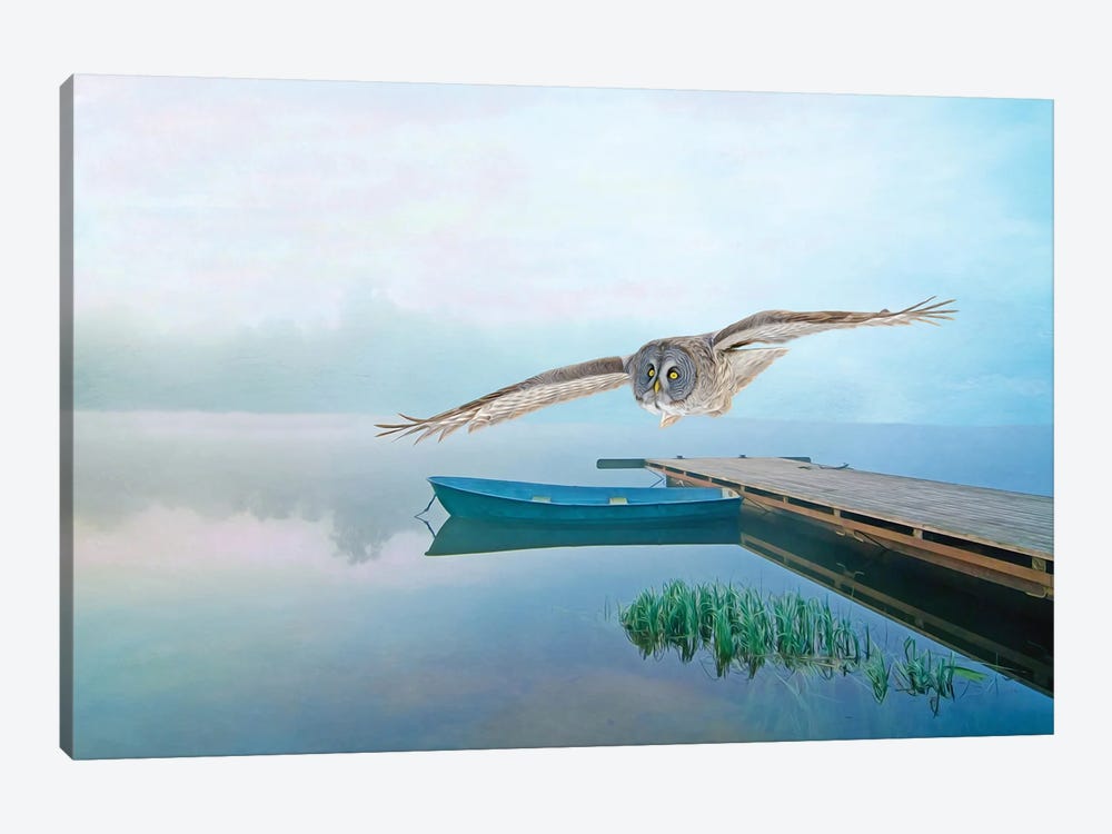Great Gray Owl In Flight Over Pond by Laura D Young 1-piece Canvas Print