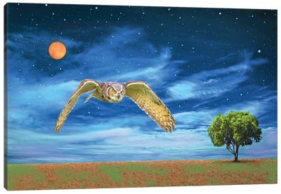 Great Horned Owl At Night Canvas Art Print - Laura D Young
