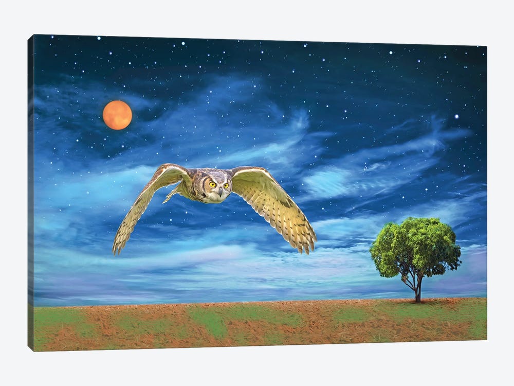 Great Horned Owl At Night by Laura D Young 1-piece Canvas Wall Art