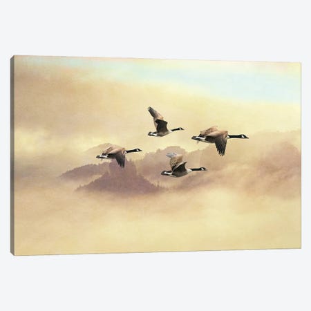 Canada Geese Migration Flight Canvas Print #LDY17} by Laura D Young Canvas Artwork