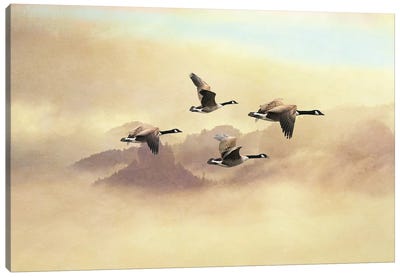 Canada Geese Migration Flight Canvas Art Print - Laura D Young