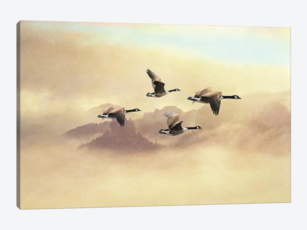 Canada Geese Migration Flight by Laura D Young 1-piece Art Print