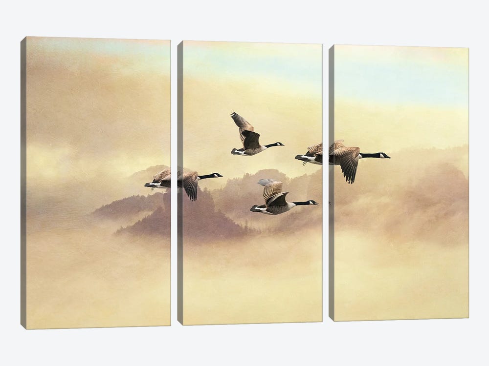 Canada Geese Migration Flight by Laura D Young 3-piece Art Print