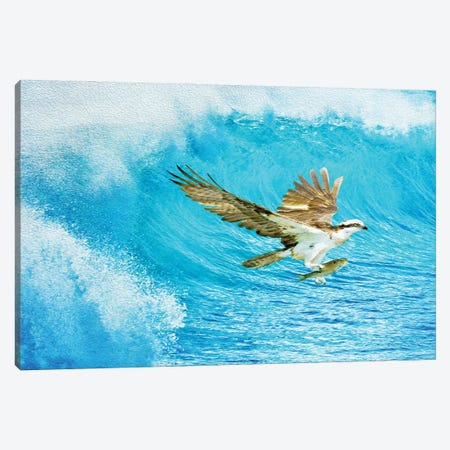 Osprey And The Ocean Catch Canvas Print #LDY180} by Laura D Young Canvas Wall Art