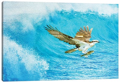 Osprey And The Ocean Catch Canvas Art Print - Buzzard & Hawk Art