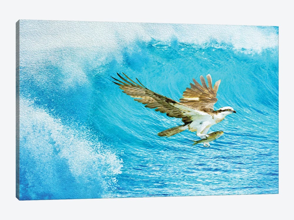 Osprey And The Ocean Catch 1-piece Canvas Print