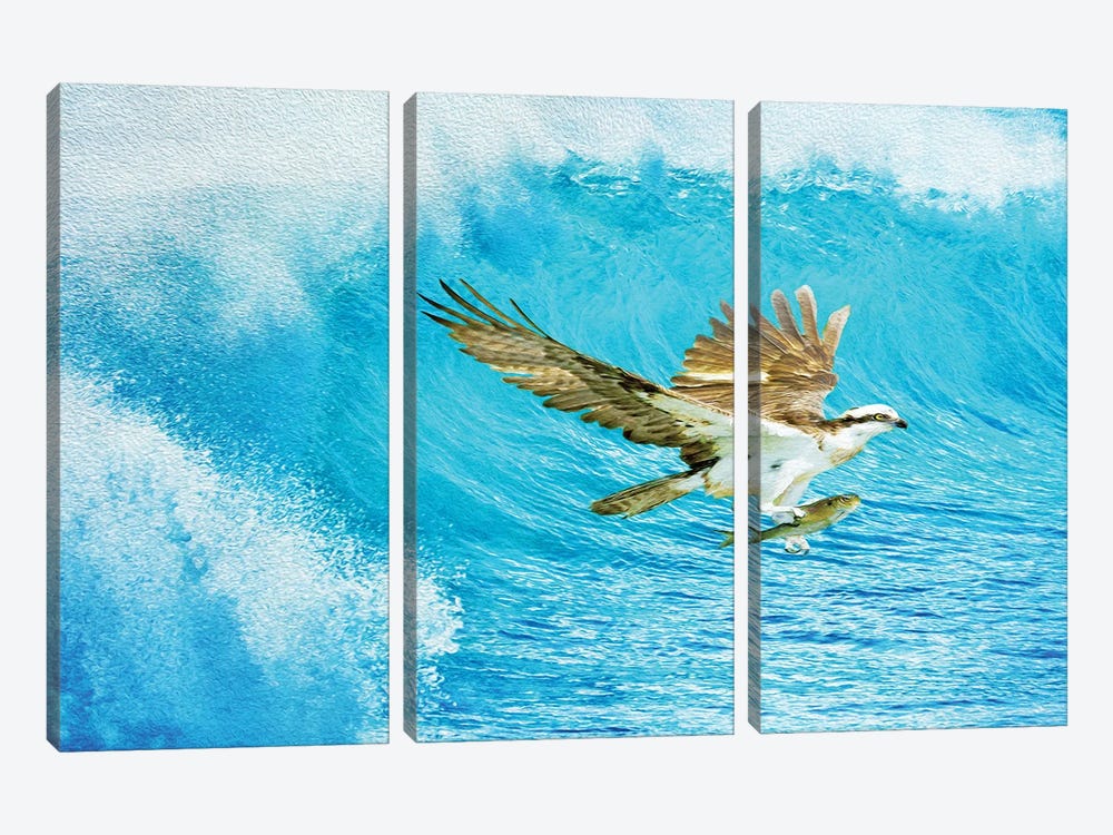 Osprey And The Ocean Catch by Laura D Young 3-piece Art Print