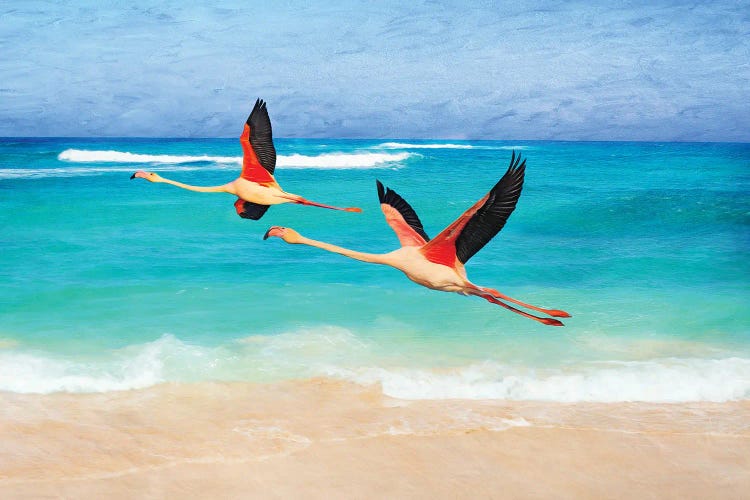 Pink Flamingoes In Flight by Laura D Young wall art