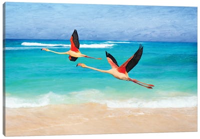 Pink Flamingoes In Flight Canvas Art Print - Flamingo Art