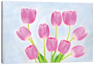 Pink Tulip Arrangement Canvas Art Print - Laura D Young