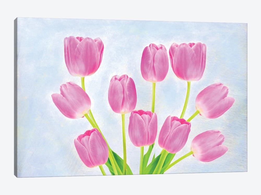 Pink Tulip Arrangement by Laura D Young 1-piece Art Print