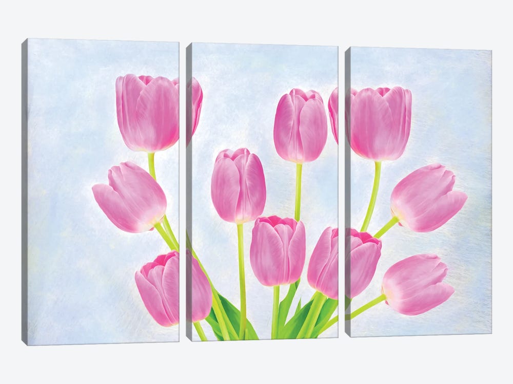 Pink Tulip Arrangement by Laura D Young 3-piece Canvas Print