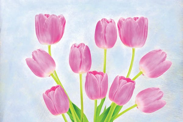 Laura D Young: Pink Tulip Arrangement by Laura D Young