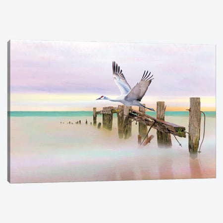 Sandhill Crane And Old Dock Canvas Print #LDY186} by Laura D Young Art Print