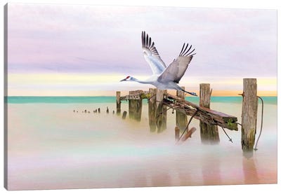 Sandhill Crane And Old Dock Canvas Art Print - Laura D Young