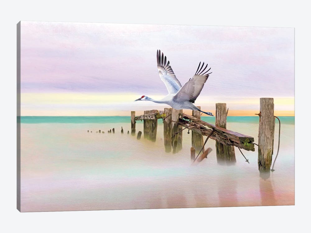 Sandhill Crane And Old Dock by Laura D Young 1-piece Canvas Art Print