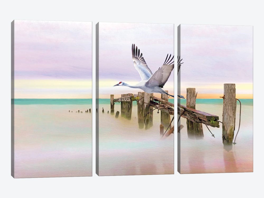 Sandhill Crane And Old Dock by Laura D Young 3-piece Art Print