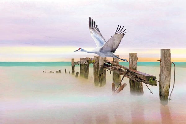Laura D Young: Sandhill Crane And Old Dock by Laura D Young