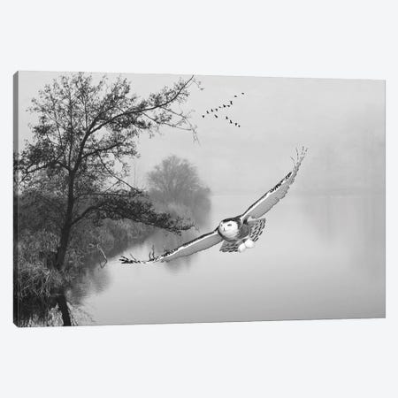 Snowy Owl In Flight Over Misty Pond Black & White Canvas Print #LDY189} by Laura D Young Canvas Art