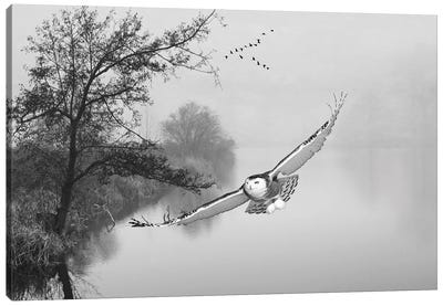 Snowy Owl In Flight Over Misty Pond Black & White Canvas Art Print
