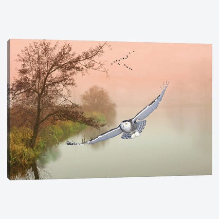Snowy Owl In Flight Over Misty Pond Canvas Print #LDY190} by Laura D Young Canvas Art Print