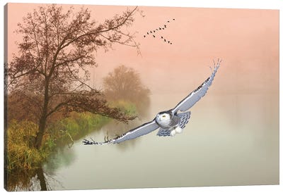 Snowy Owl In Flight Over Misty Pond Canvas Art Print - Laura D Young