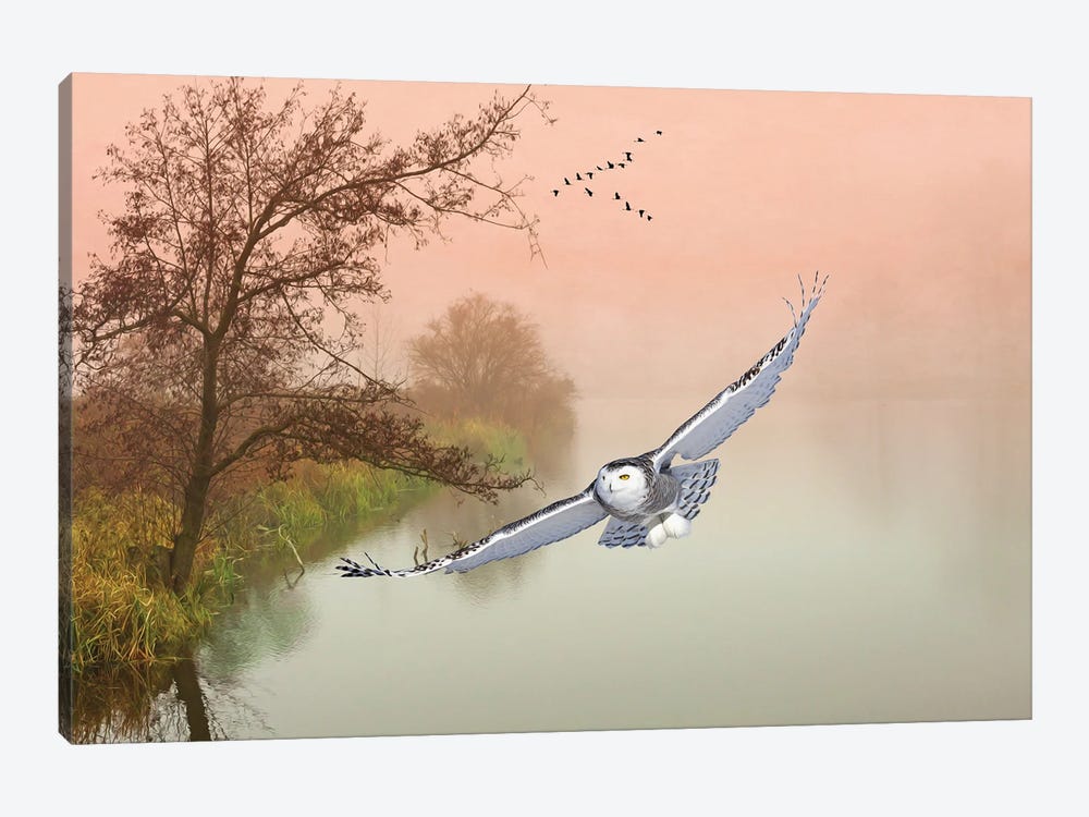 Snowy Owl In Flight Over Misty Pond by Laura D Young 1-piece Canvas Art